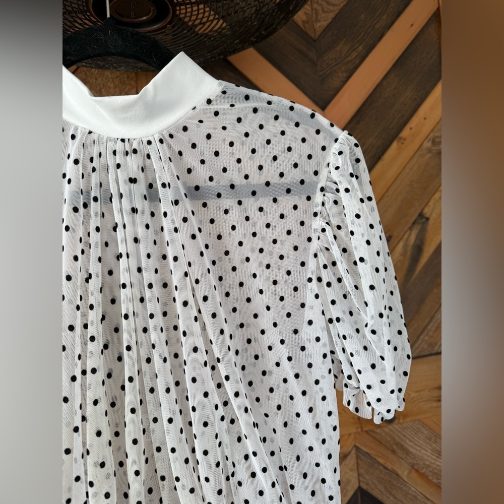 Sheer Polka Dot Crop Top - White and Black - Picture 7 of 8